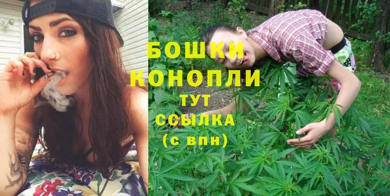 Конопля White Widow  дарнет шоп  Покачи 